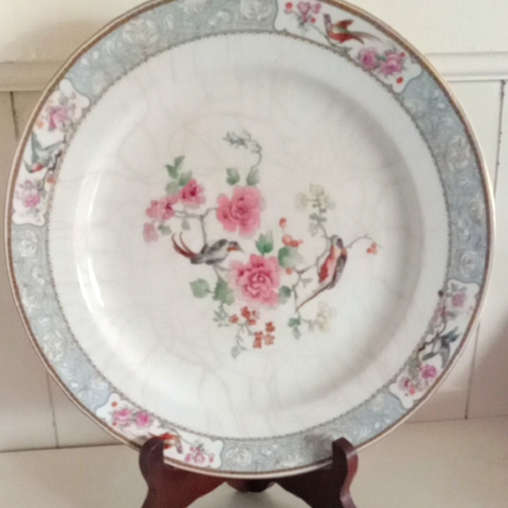 Floral bone china  Dinner Plate by W. H.Grindley made in England Barcola pattern